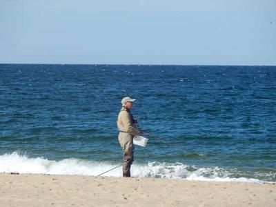 Cape Cod Beach Fishing
