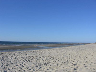 Ocean, Bay & Sound Beaches on Cape Cod: What's The Difference???