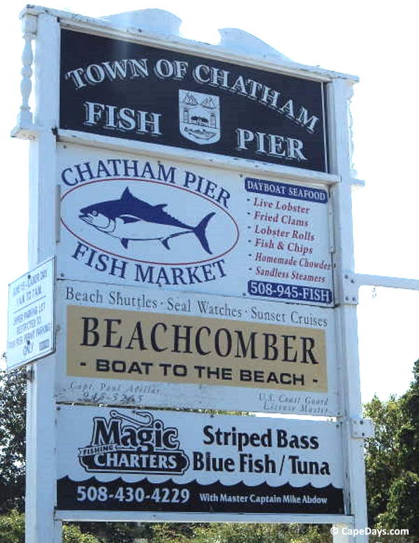 Fish Chatham Charters