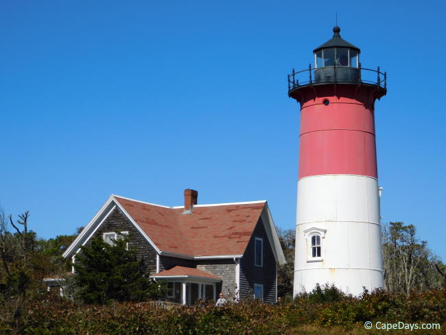 Things to Do in Cape Cod, MA  Cape Cod Activities & Family Fun