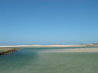 Tide Chart Mayflower Beach: Your Ultimate Guide for a Perfect Visit